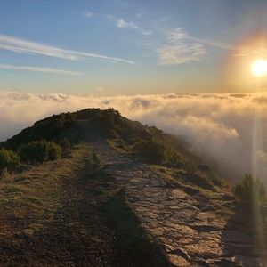 Meet your Posher, Esther